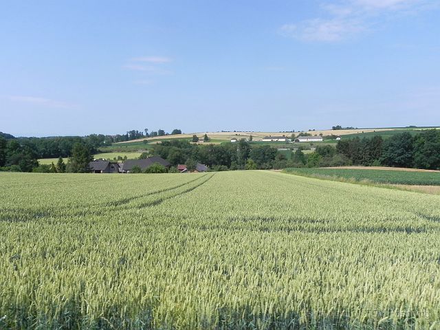 TT Steinhaus_008.JPG